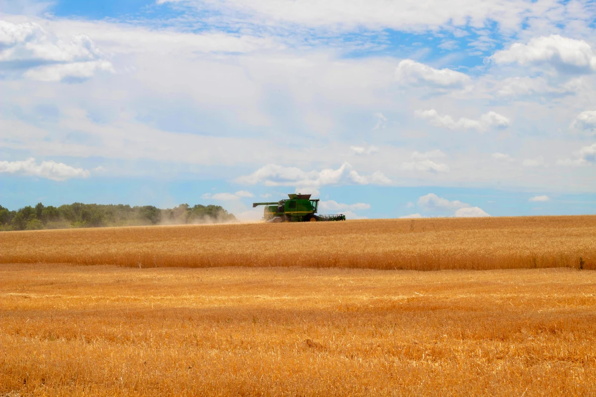La inflación mayorista en Estados Unidos vuelve a acelerarse y mantiene la presión sobre la Reserva Federal